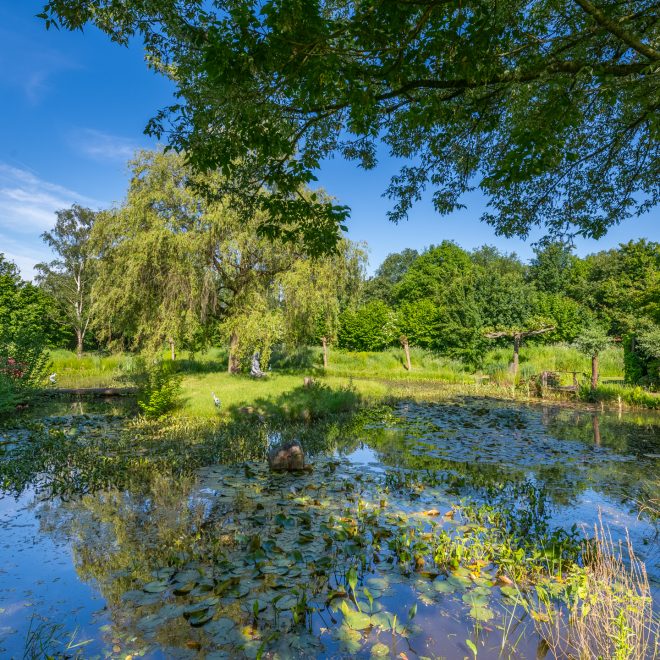 Meddoseweg_22_Winterswijk_foto-029
